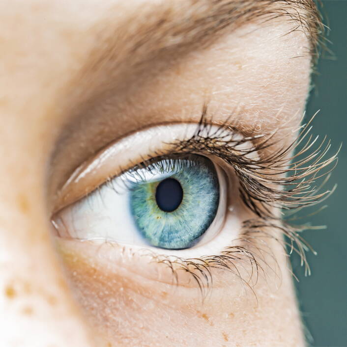 eluvo Consulting Image